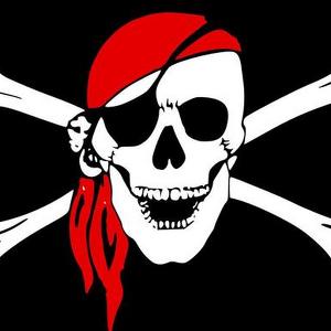 Team Page: PoliSEA Pirates